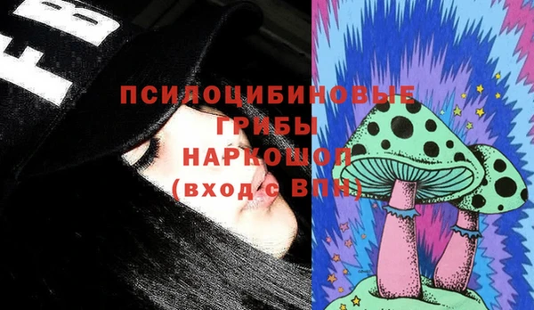 амф Кодинск