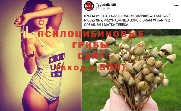 кокаин VHQ Козельск