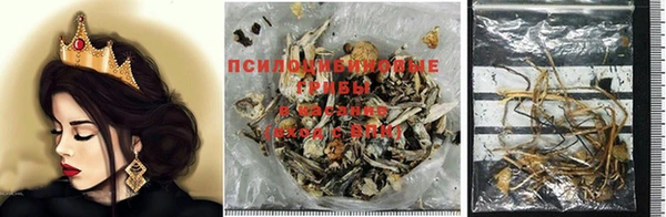 тгк Козловка