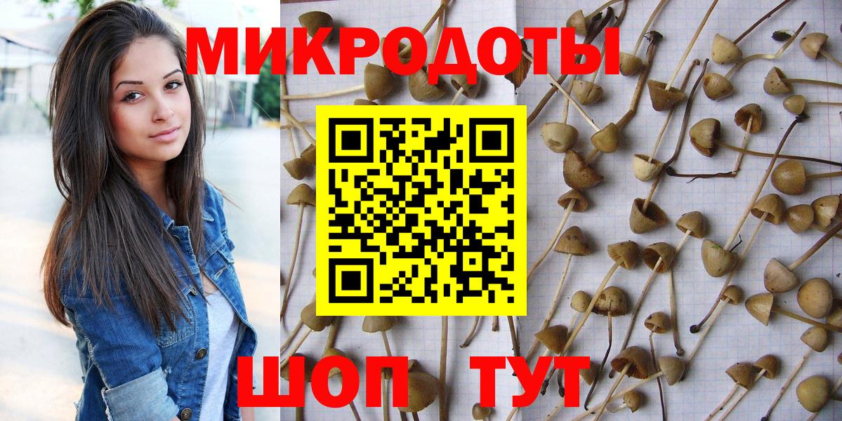 Североморск  Псилоцибиновые грибы ЛСД  Вход с VPN 